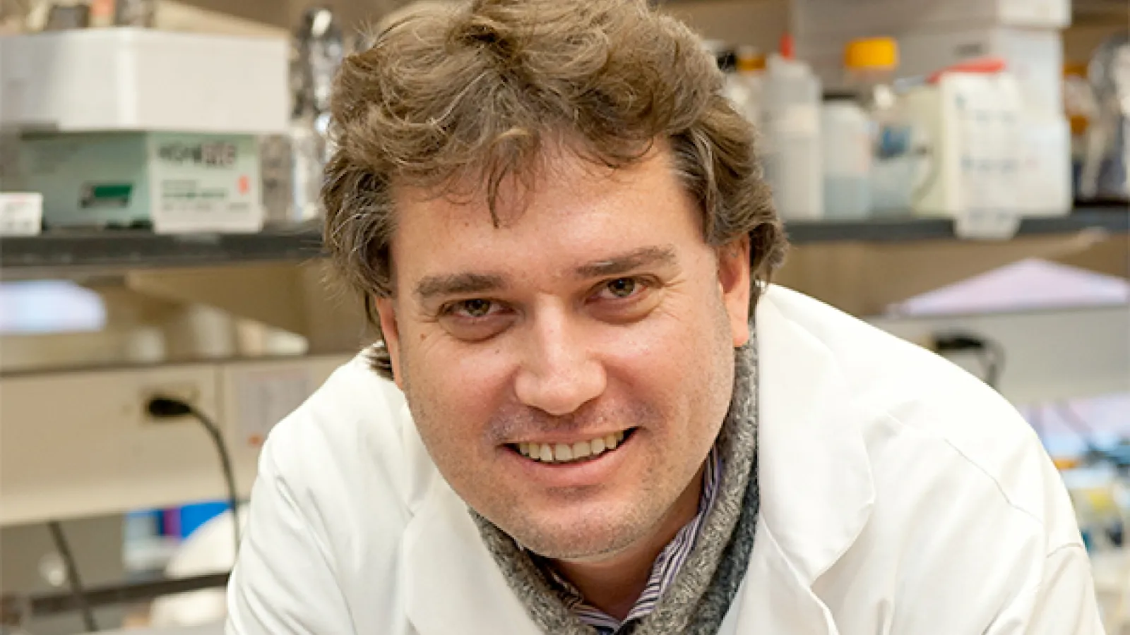 Patrice Hamel