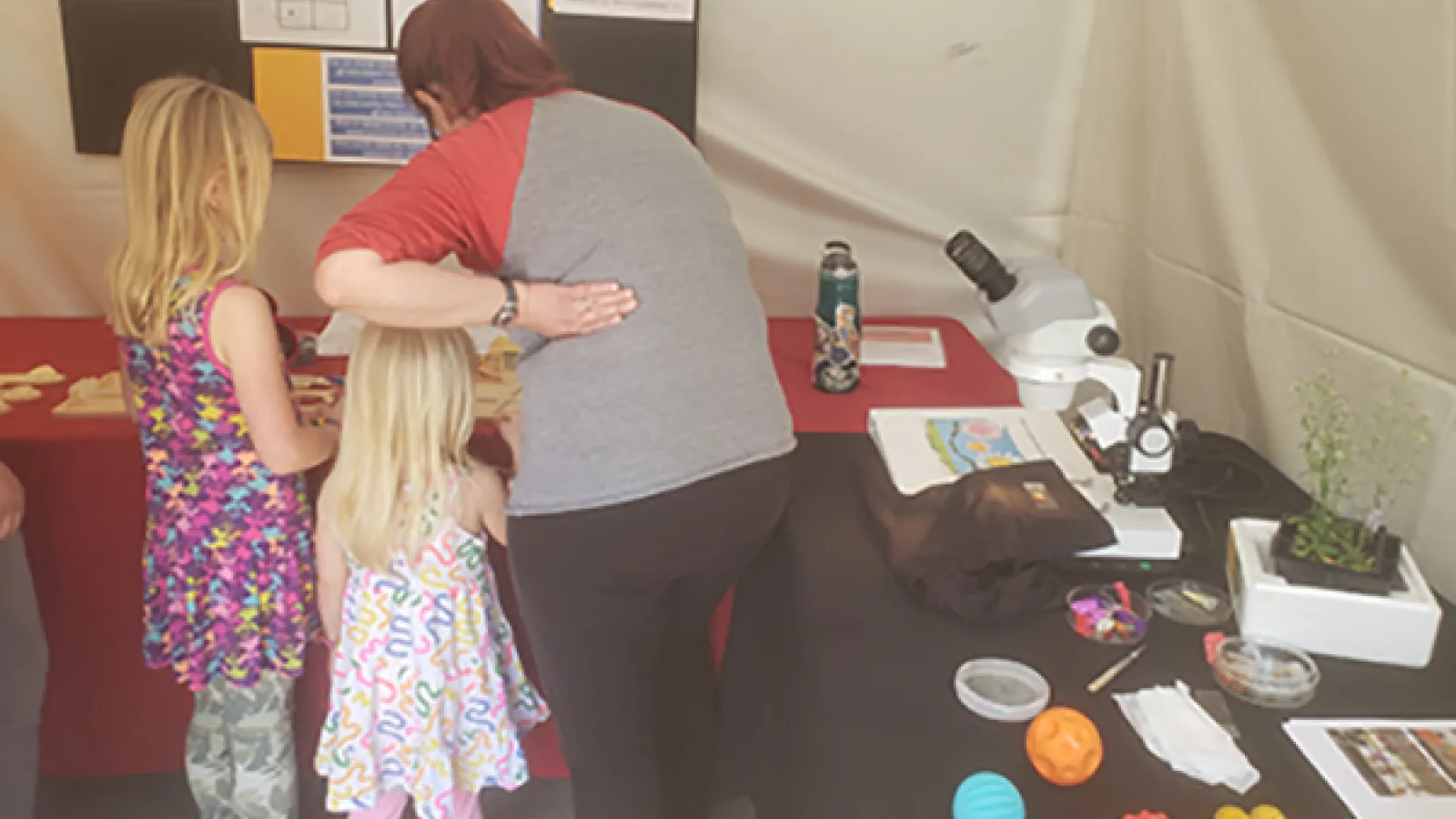 Melissa plays Punnet square games with two visitors