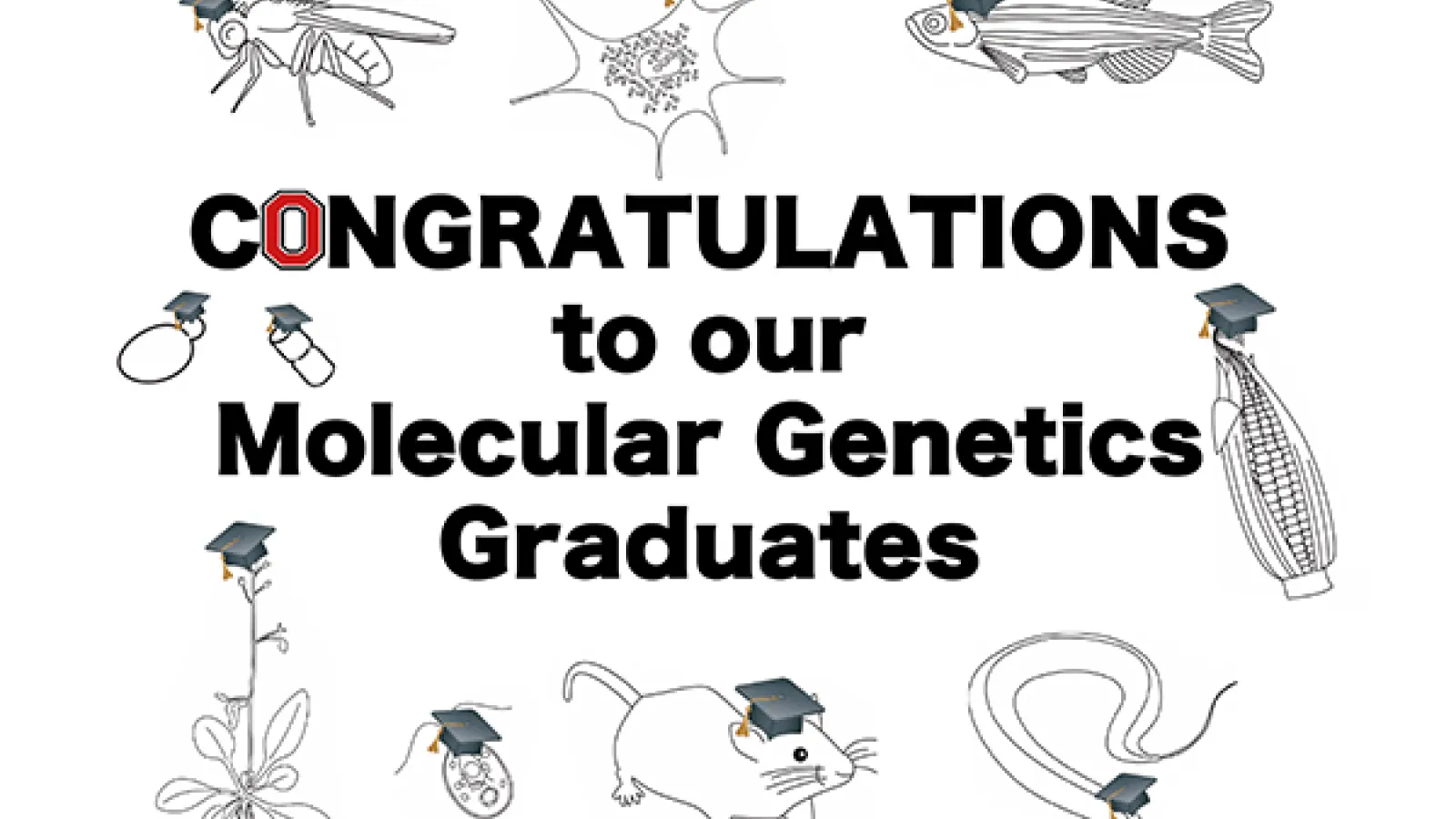 Congratulations to our graduates
