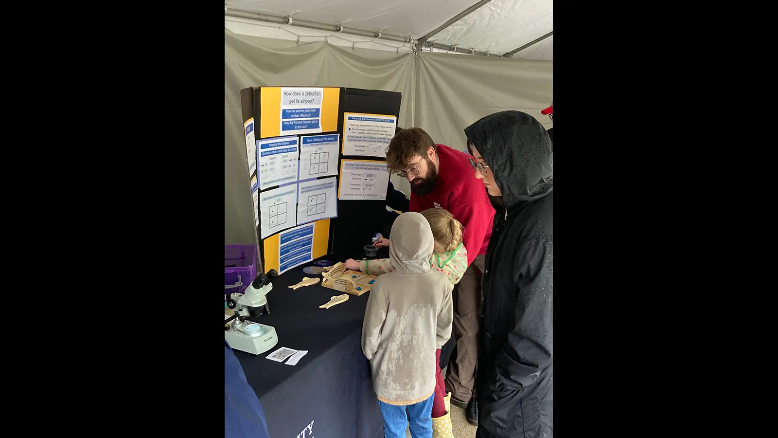 visitors engaging in FUNdanmentals of Genetics