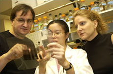Herman Lab Members